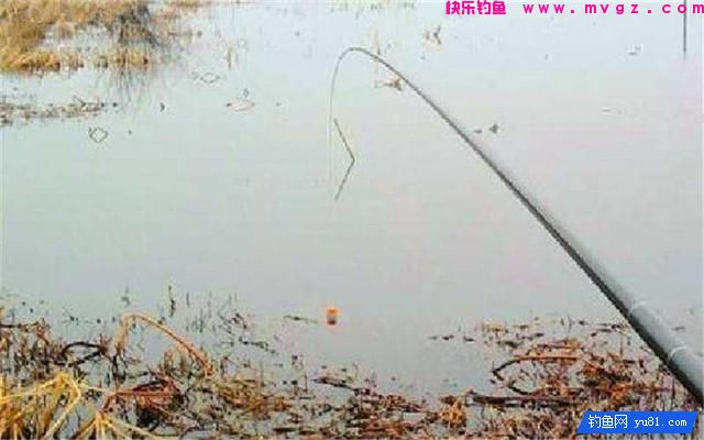 钓鱼实用技巧:冬钓深浅?老钓友教你浅水选择钓点钓鱼技巧