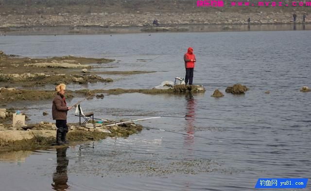 钓鱼实用技巧:冬钓深浅?老钓友教你浅水选择钓点钓鱼技巧