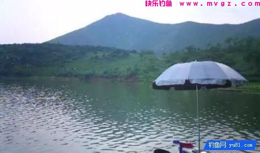 春季钓鱼怎样选择钓位？这三个问题要分清先后！