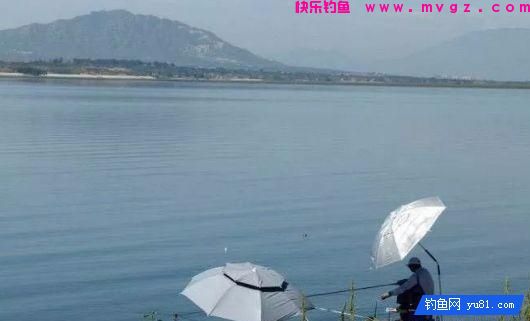春季钓鱼怎样选择钓位？这三个问题要分清先后！