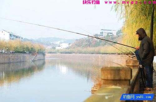 冬季稍稍设置下鲫鱼技巧，收获还是比较乐观的！