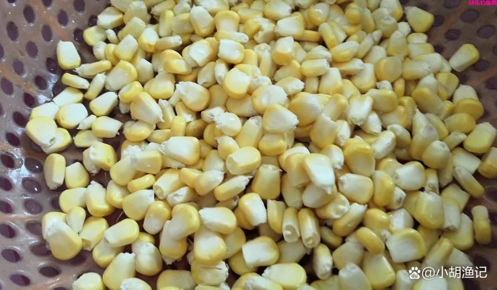 春季钓大鱼，这款天然饵料才是野钓王者！操作简单中鱼率高！