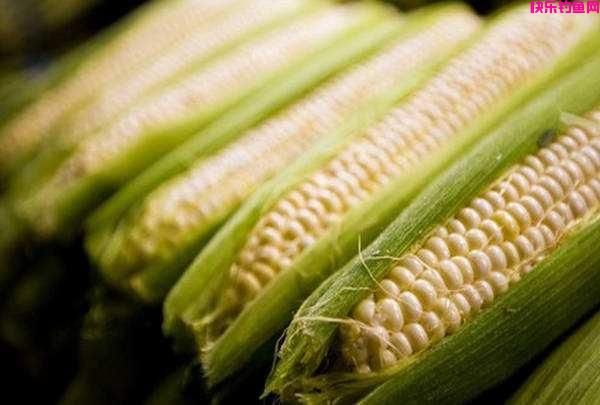 夏季野钓超好用的五款“天然饵料”，只有对症下药才能鱼口不断