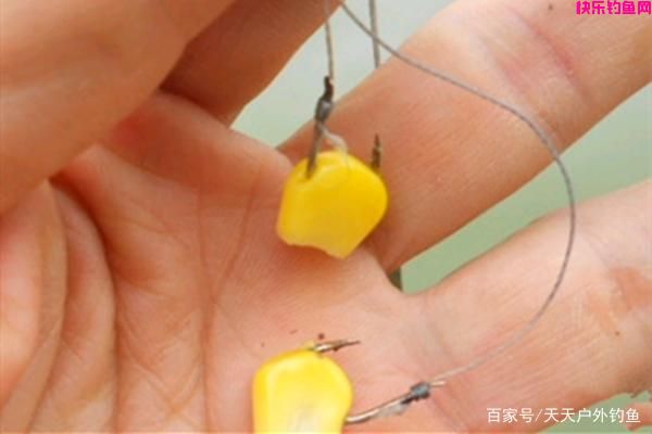 素饵之王，玉米饵料的8种配方，夏季野钓大鱼必备饵料！