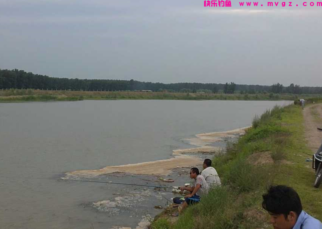 夏季垂钓青鱼、草鱼之我见，希望这些小技巧，可以帮助到大家