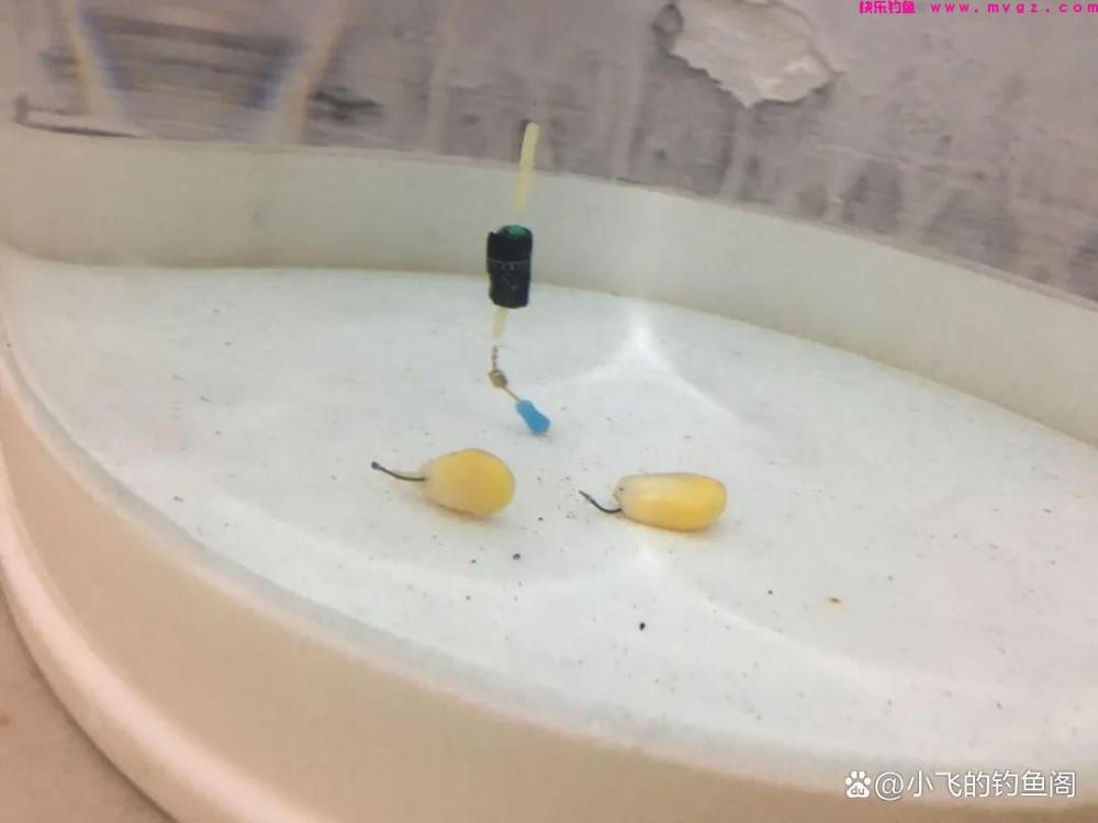 钓鲤鱼只学这2种调漂方法，不谈灵钝，能上鱼才是王道！