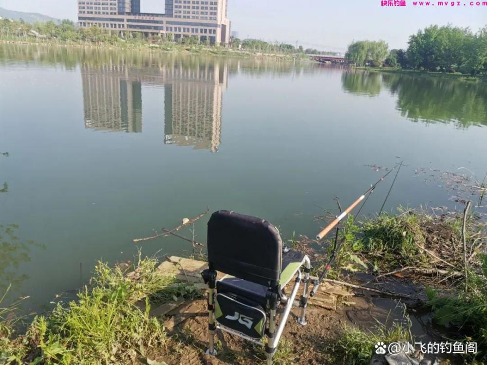 春季钓鲤鱼怎么总空军？恐怕是选错了水深，才错过了鱼！