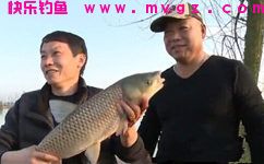收集民间25种钓鲢鳙诱饵窝料配方清单