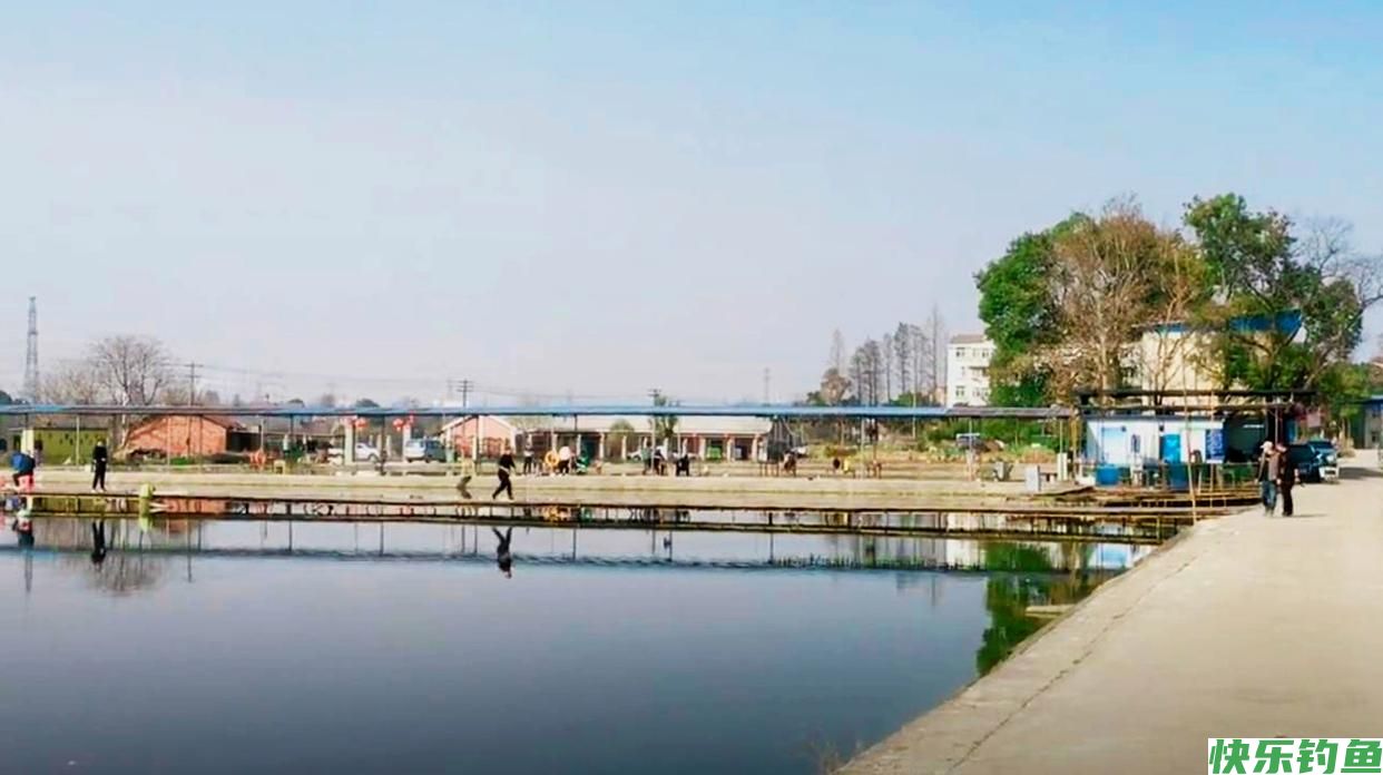 假日在武汉城区这处湖泊野钓，位置偏僻水面广，大板鲫一条接一条