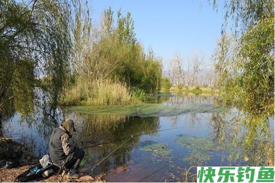 夏季野钓，要抢这几处钓点，下钩就有鱼，连竿到手软，妥妥爆护