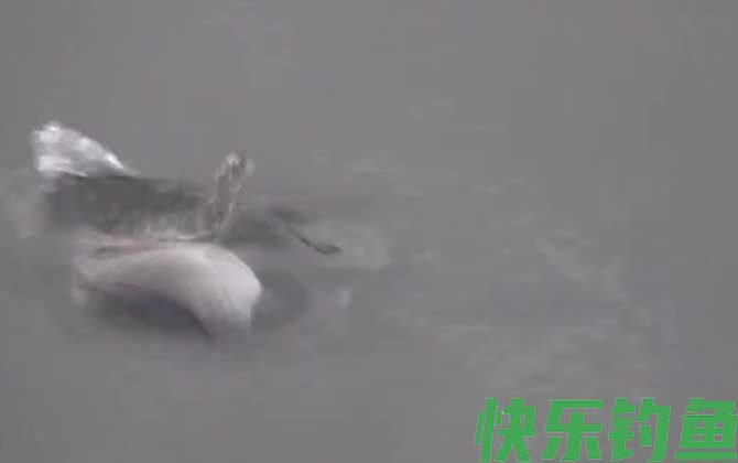 水库钓鱼
