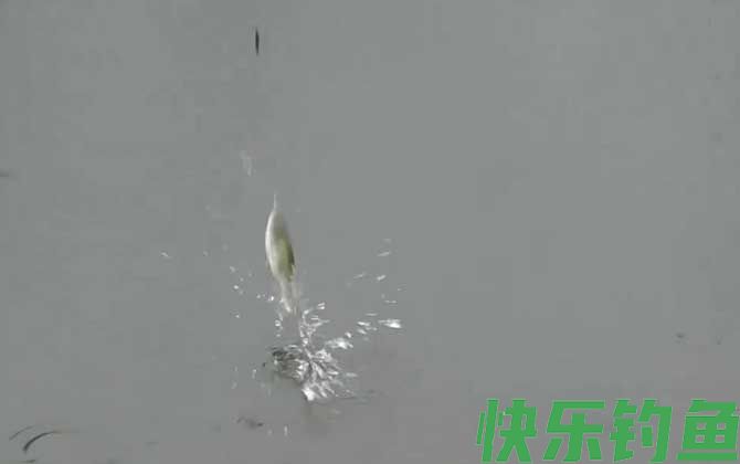 水库钓鱼