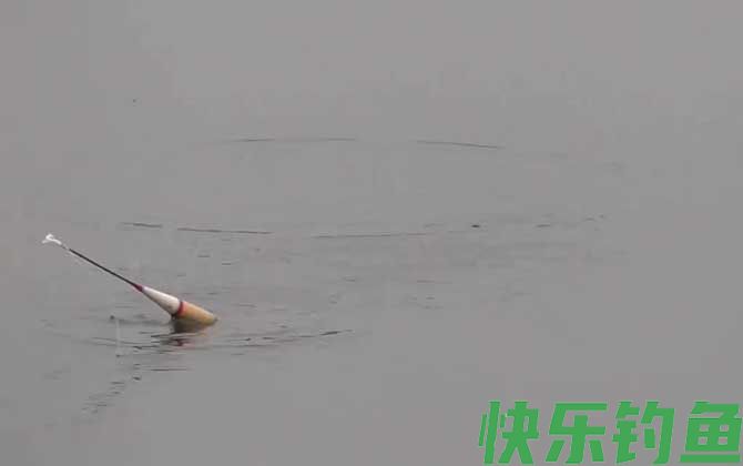 钓鱼