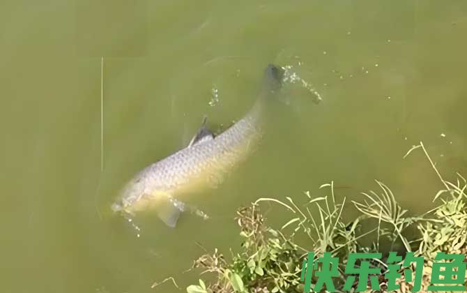 滑漂钓法