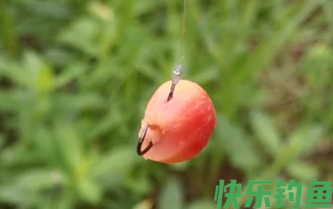 玉米