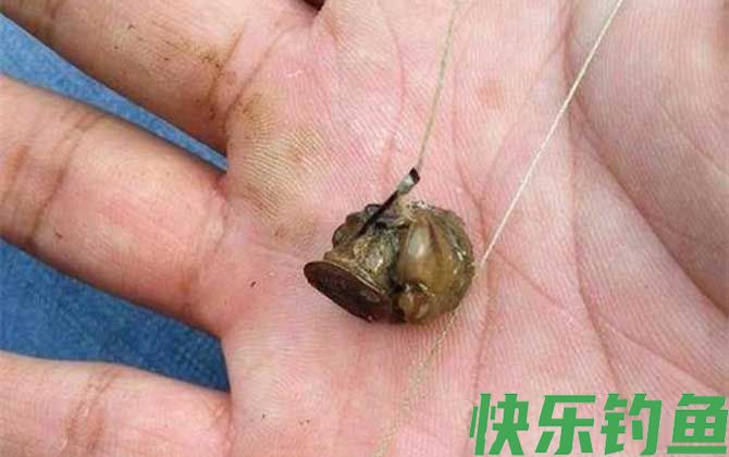 螺蛳