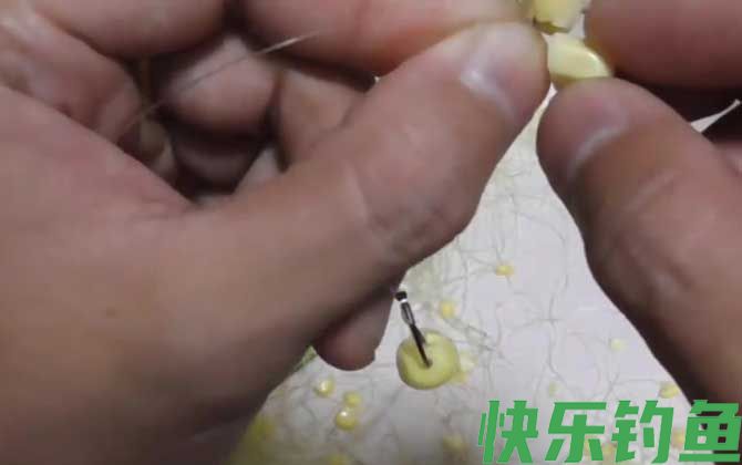 手竿挂玉米钓鱼技巧和方法