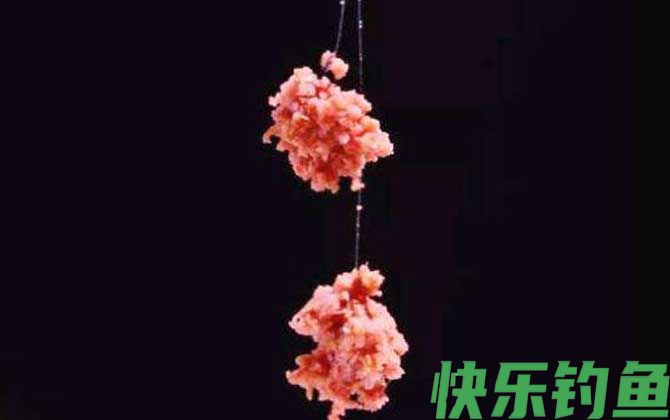 饵料