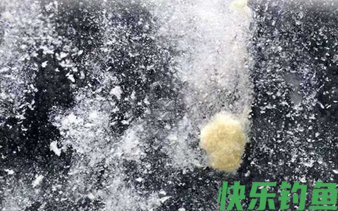 雪花粉