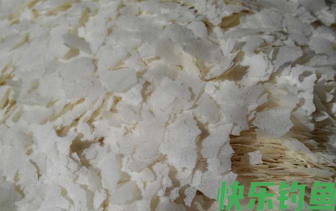 雪花粉