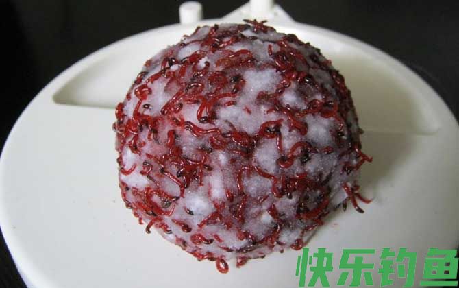 红虫拉饵
