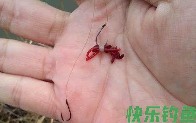 红虫