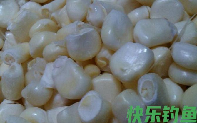 自制钓鱼饵料