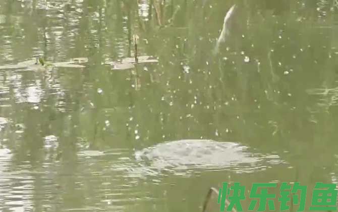 水库钓鱼