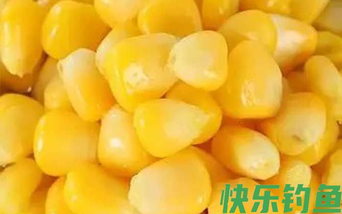 新鲜玉米