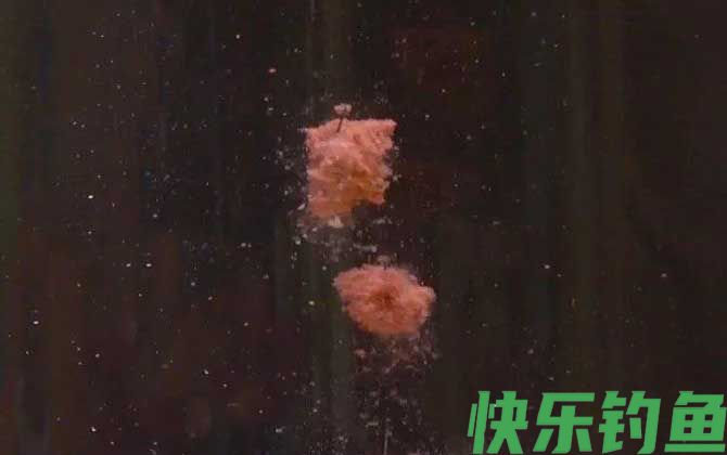 饵料
