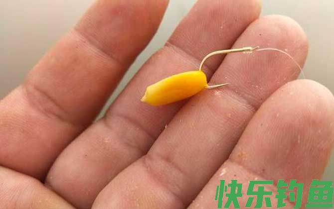 六月钓鱼