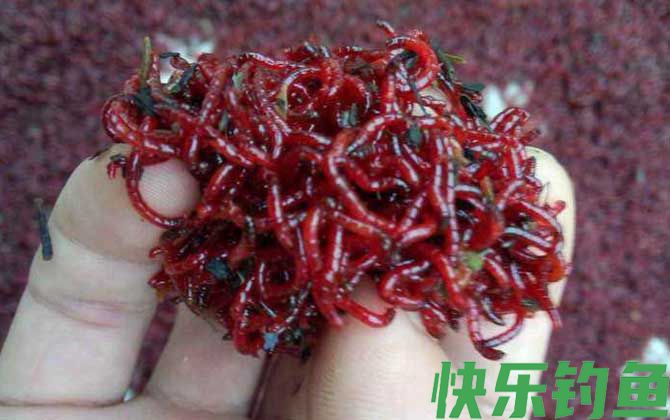红虫