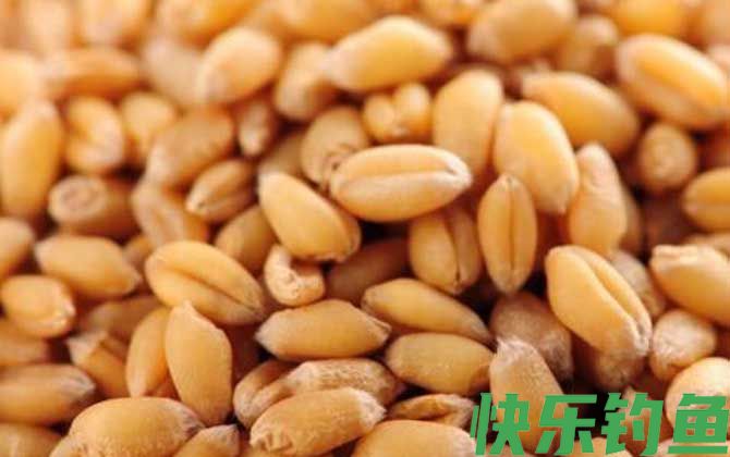 麦粒