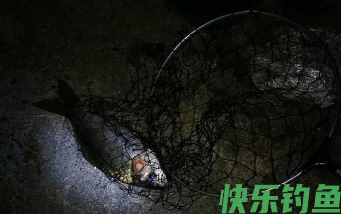 冬天晚上钓鱼