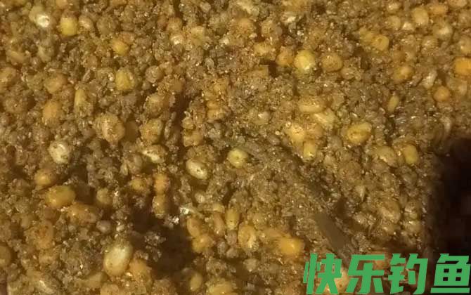 老玉米