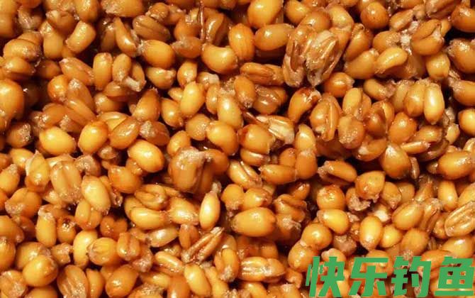 老玉米