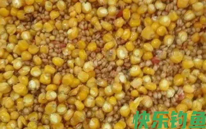 老玉米