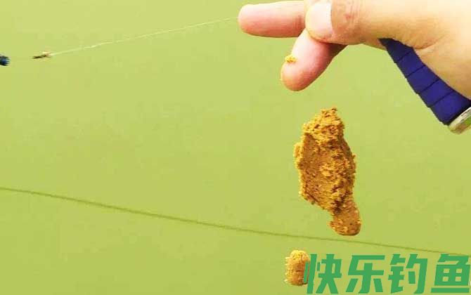 饵料