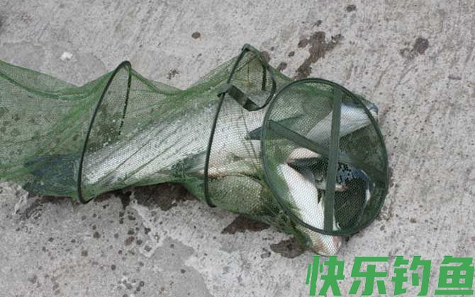 野钓青鱼