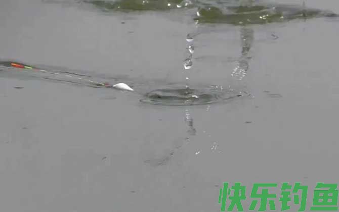 夏季钓鱼