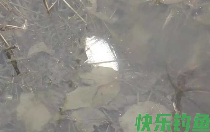 冬季钓鱼