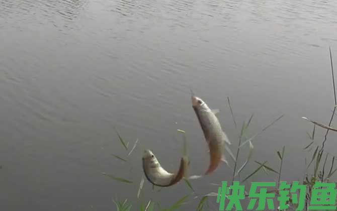 九月钓鱼