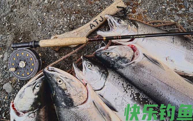 矶钓