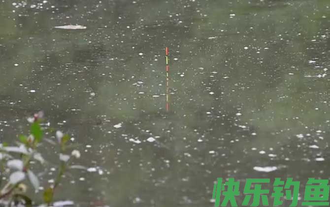 初夏钓鱼
