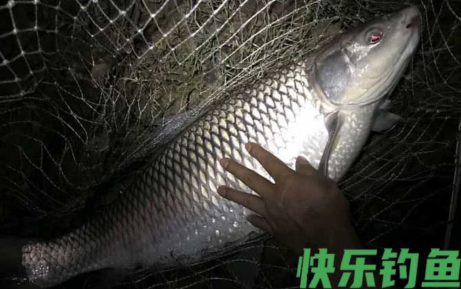 夏季钓鱼