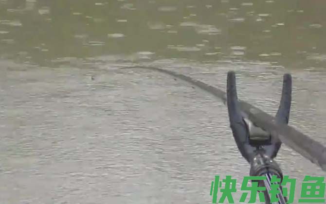 闷竿钓法