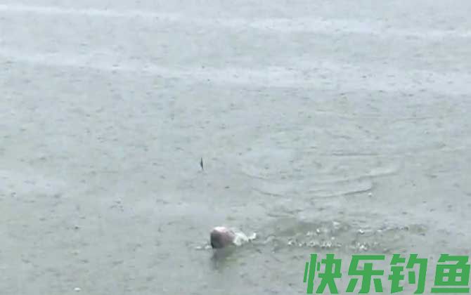钓鱼