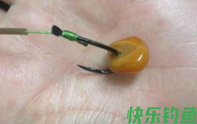 玉米钓鱼