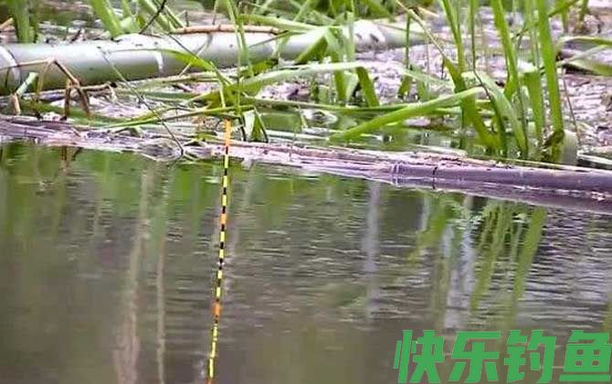 漂相
