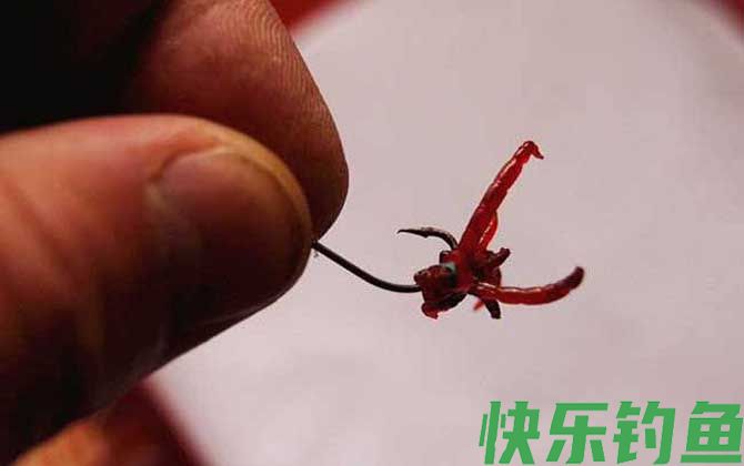 红虫钓鱼